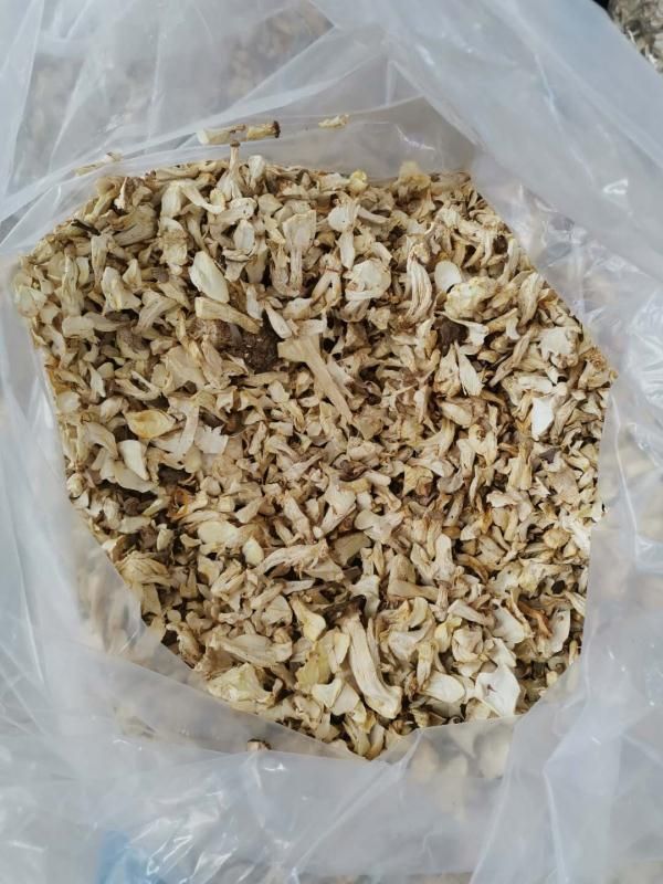 干杏鲍菇 工厂化干制杏鲍菇片，适合于出口食品加工使用