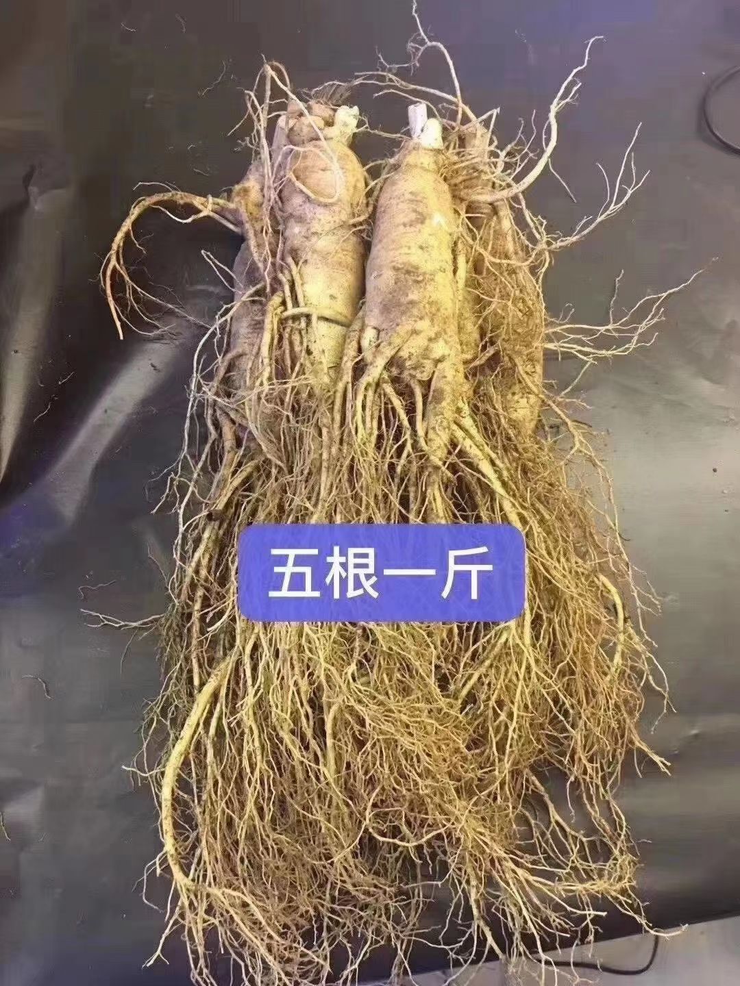 園參  長白山鮮人參，產地直銷，棵棵精品，特新鮮的人參，批發(fā)
