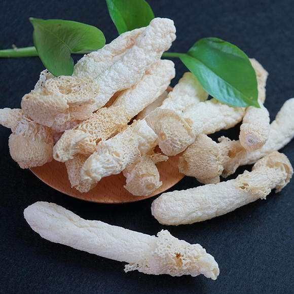 织金县竹菌  贵州红托竹荪红托香荪织金竹荪
