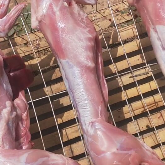 环县兔肉类 兔肉