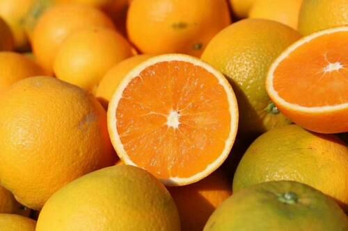 九月红脐橙  【秭归】九月红秋橙果冻橙10斤装顺丰包邮