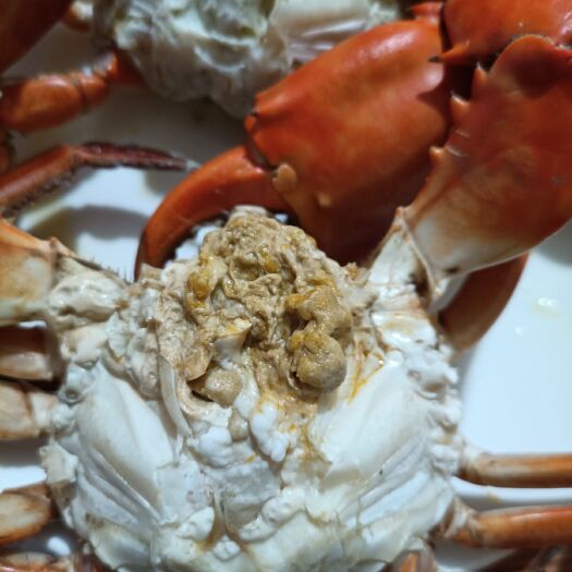 阳澄湖镇大闸蟹 三门青蟹肉蟹品质超好，价格实惠，自产自销