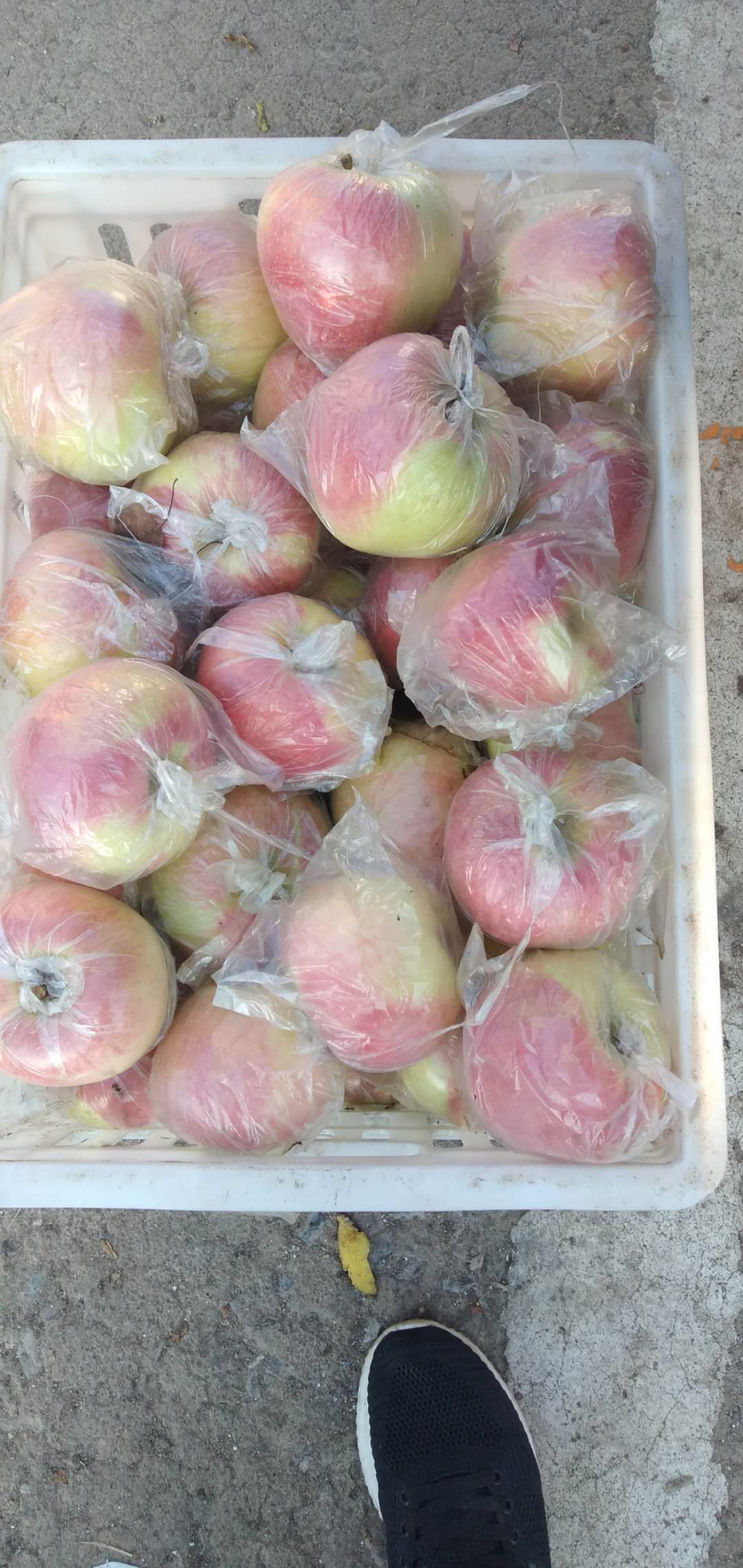 红富士苹果  砀山各种苹果大量上市，色泽好，货源多，糖度高，