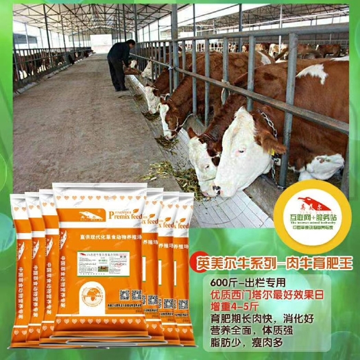 徐州牛羊饲料  肉牛育肥王，快速长肉，沉积脂肪，瘦肉多更压秤，不过料不拉稀，