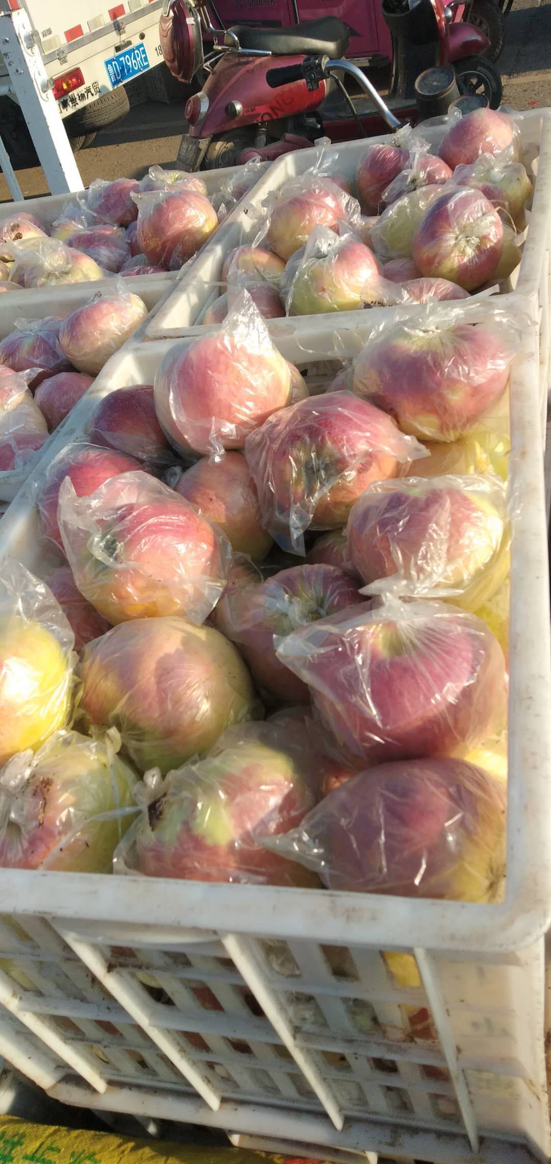 红富士苹果  砀山各种苹果大量上市，色泽好，货源多，糖度高，