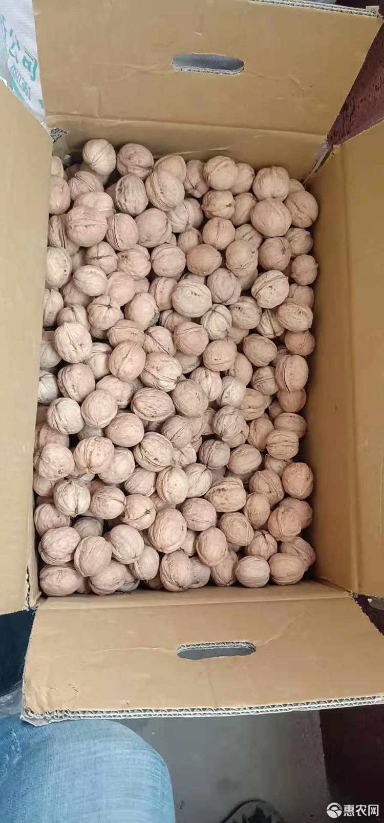 云南核桃  185核桃  新疆新产品 很好吃的。