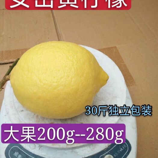 安岳县四川安岳黄柠檬鲜果大果一二级批发零售产地直销