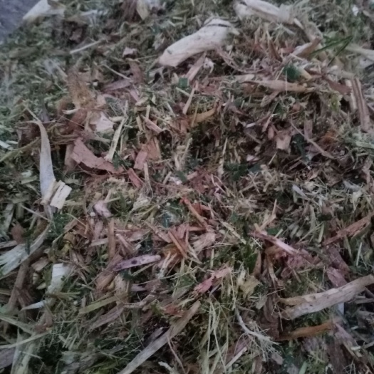 涡阳县玉米秸秆  出售玉米黄储