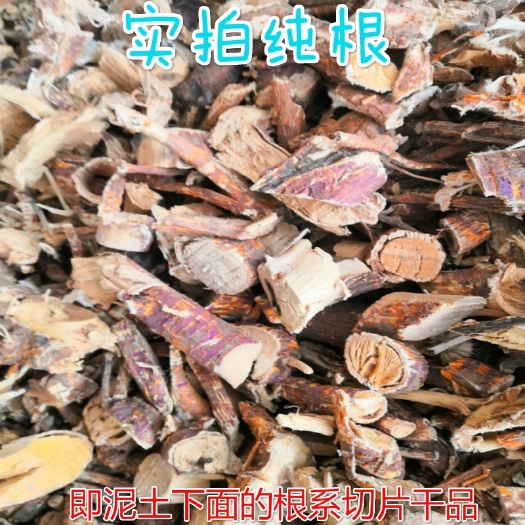 桑枝  桑根.生老桑根.桑根.桑根