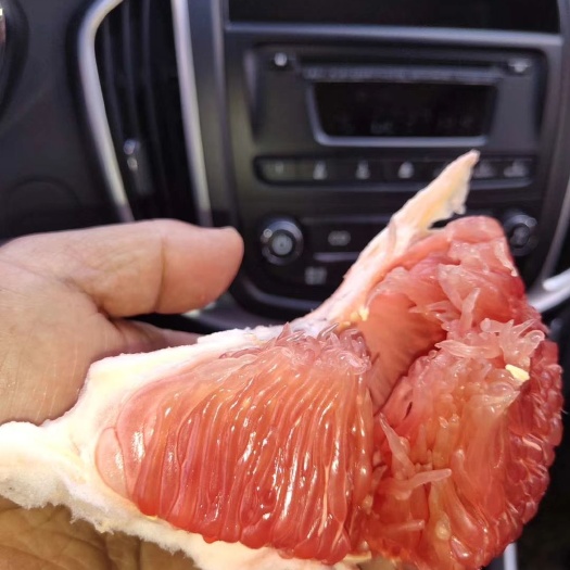 芷江县红心柚苗  马家柚湖南甜味红肉柚，汁多味甜耐贮运，现挖包邮