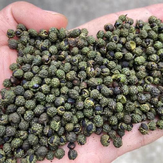 成都青花椒麻椒包子 包米子云南青椒江津青包子
