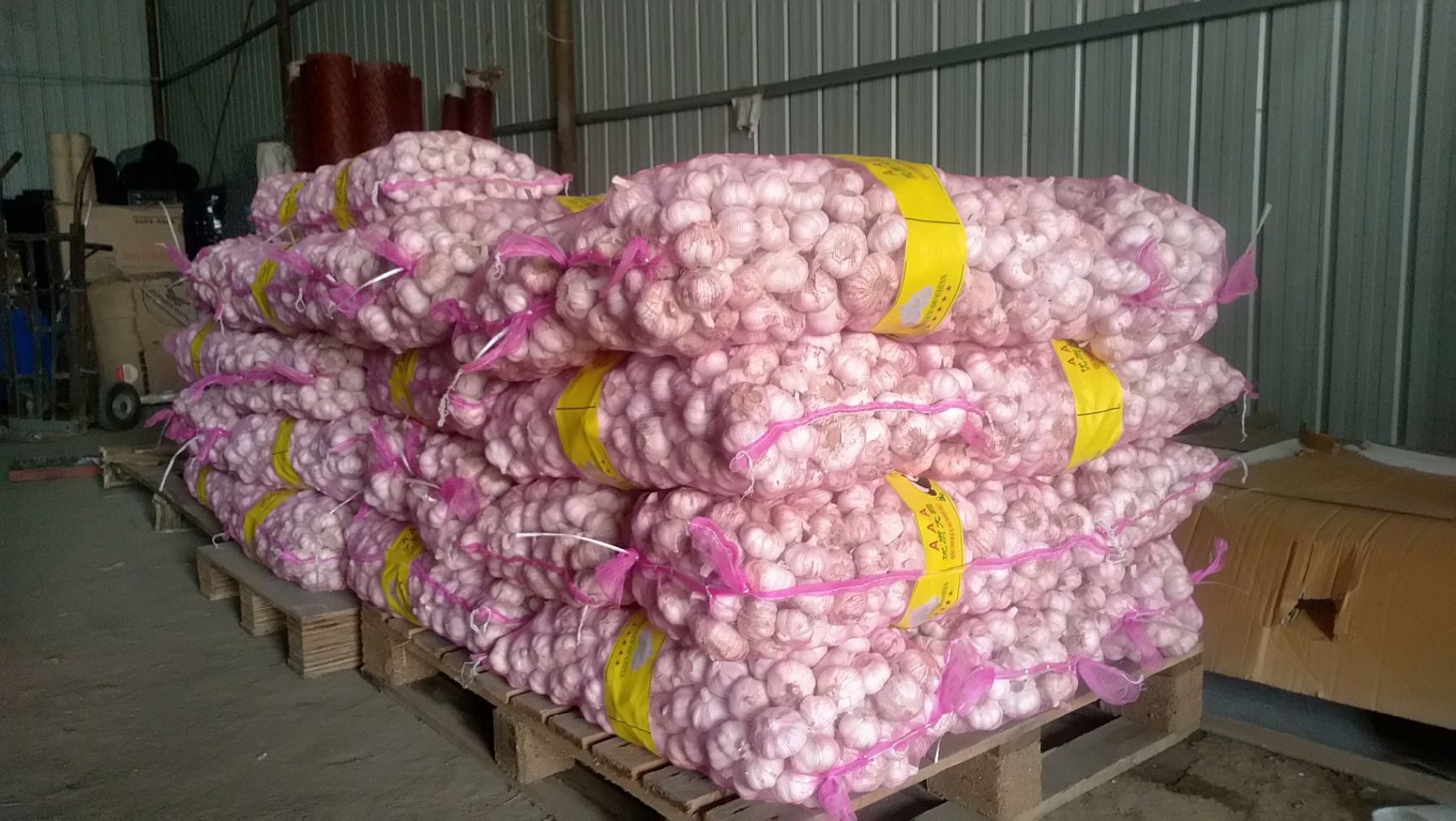 金杞牌大蒜  精品金杞大蒜产地直发一手货源诚信买卖质量保障