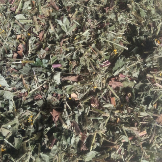 精品新货仙鹤草，现货高度90%