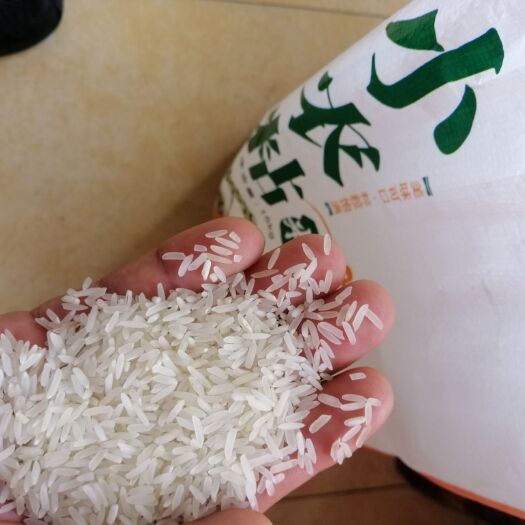 佛山香米 广西壮族自治区南宁市上林县 一等品 晚稻 籼米 