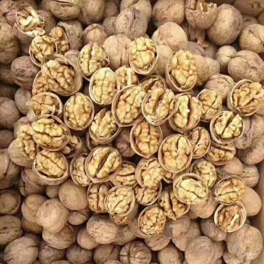 墨玉县鲜核桃  正宗新疆和田搏皮核桃，185核桃，