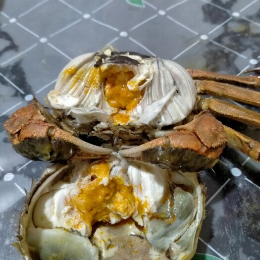 高淳，塘口直供，，让你吃上优质的大闸蟹
