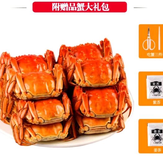沭阳县洪泽湖大闸蟹 母蟹 2.0-2.5两 