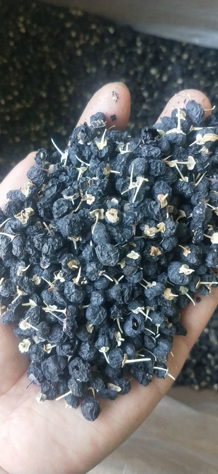 青海柴达木小颗粒黑枸杞，