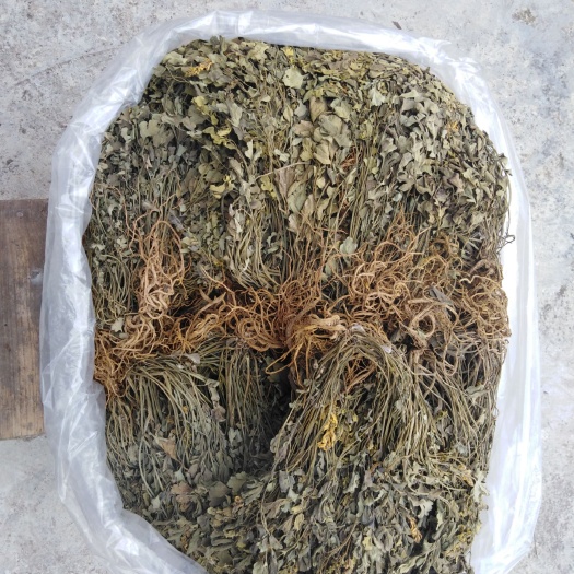 东兰县岩黄连  药材岩黄莲