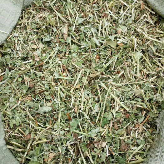 民权县2020年花生秧原料常期供应 喂牛羊畜牧