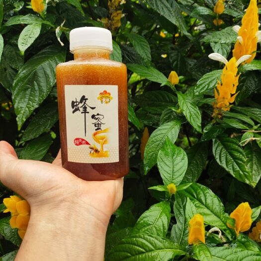 饶平县土蜂蜜 桉树蜜