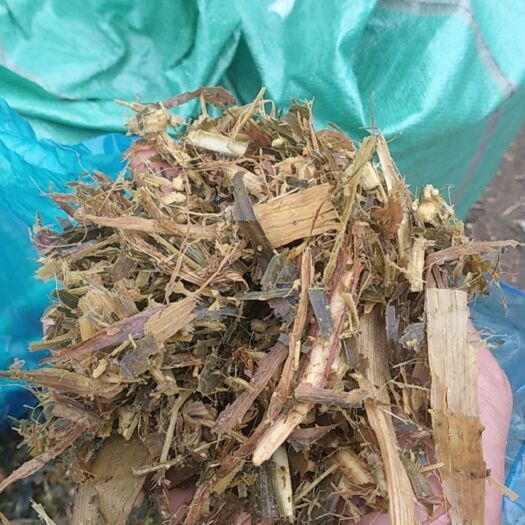 南阳玉米青贮草  清储饲料