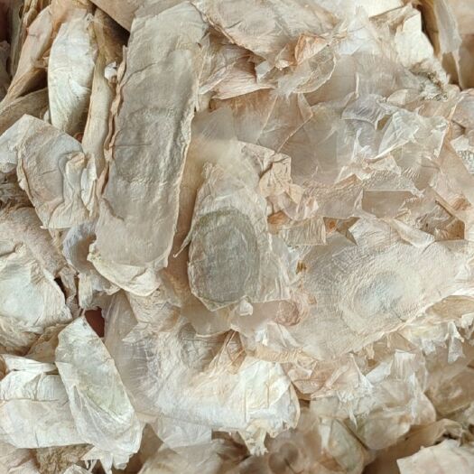 玉蝴蝶 中药材供应 木蝴蝶 千张纸 毛鸦船 千层纸