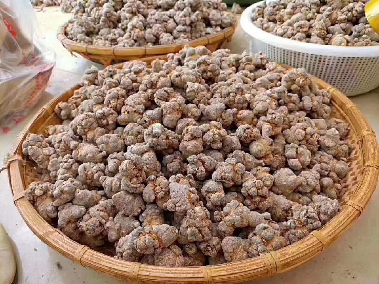 冬七  文山三七种植生产销量一手货源没有中间商