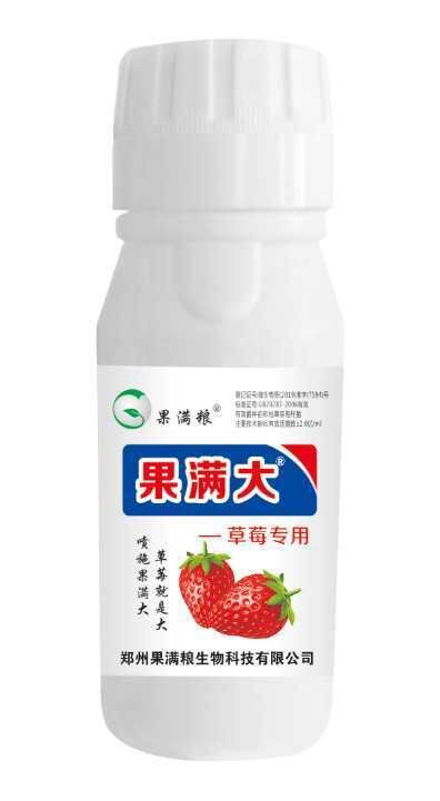 郑州膨果肥 草莓果满大