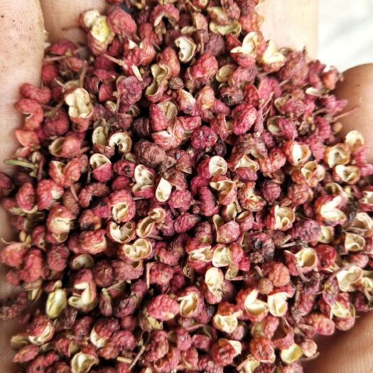 渭南大红袍花椒 一级 干花椒 