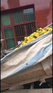 陕西汉中城固柑桔 新鲜水果 柑橘类批发