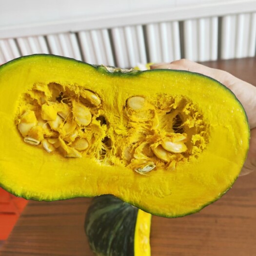 定边县 陕北沙地板栗南瓜