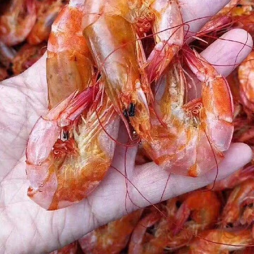滨州对虾批发散烤烤虾干干度好不咸，全国冷链物流发货