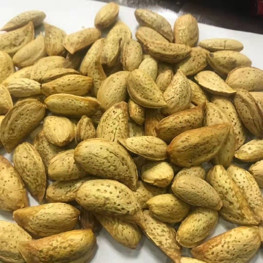 中牟县巴旦木  新疆薄壳刀果奶香味厂家直发量大从优