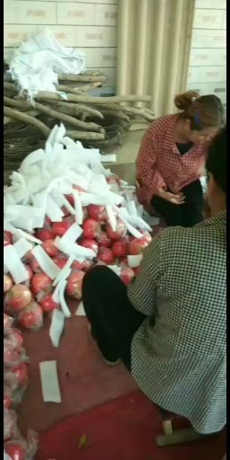 临猗县临猗石榴 酸甜都有
