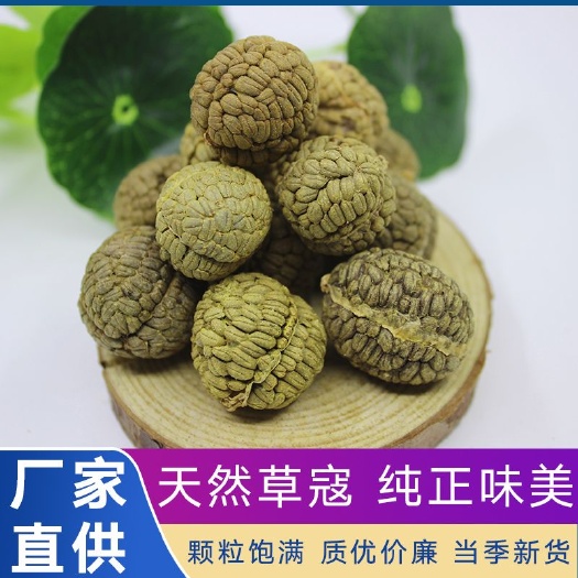 玉林草蔻  广西大草扣草扣草豆蔻香料卤料500克包邮