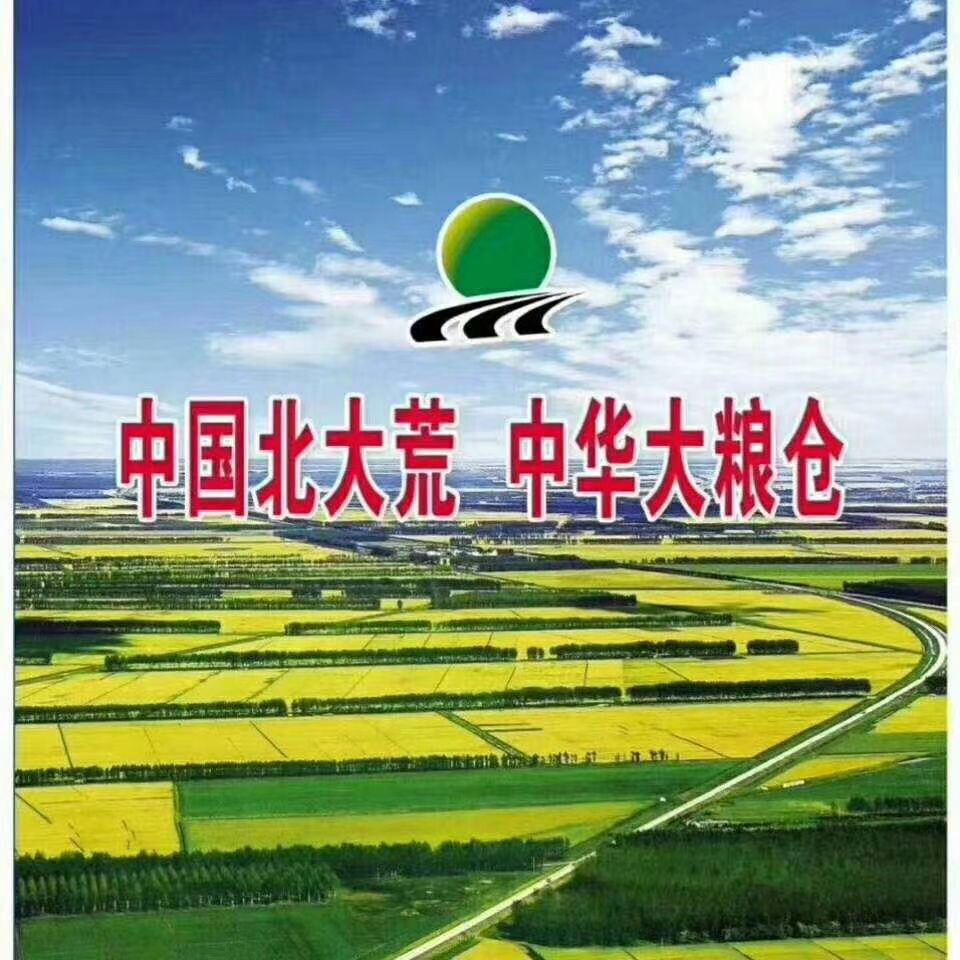 东北大米 北大荒系列大米全国各地招商中