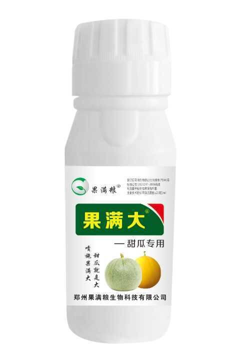 郑州膨果肥 甜瓜果实个大，饱满，不裂果，口感好！