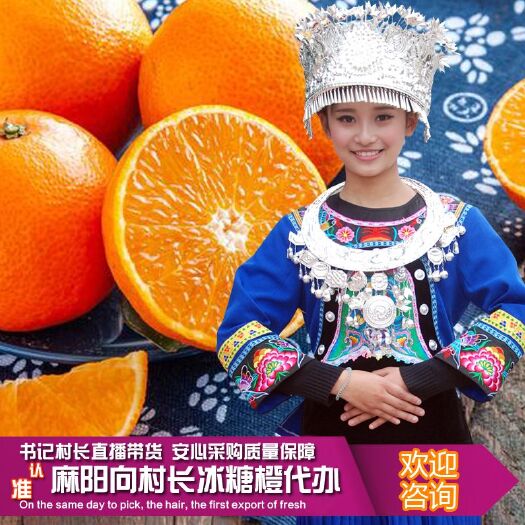 麻阳县麻阳冰糖橙 冰糖橙认准“麻阳向村长”橙子新鲜水果大宗批发价