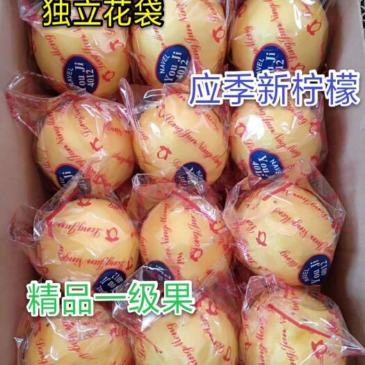 安岳县四川安岳黄柠檬鲜果当季水果精品一级果批发零售
