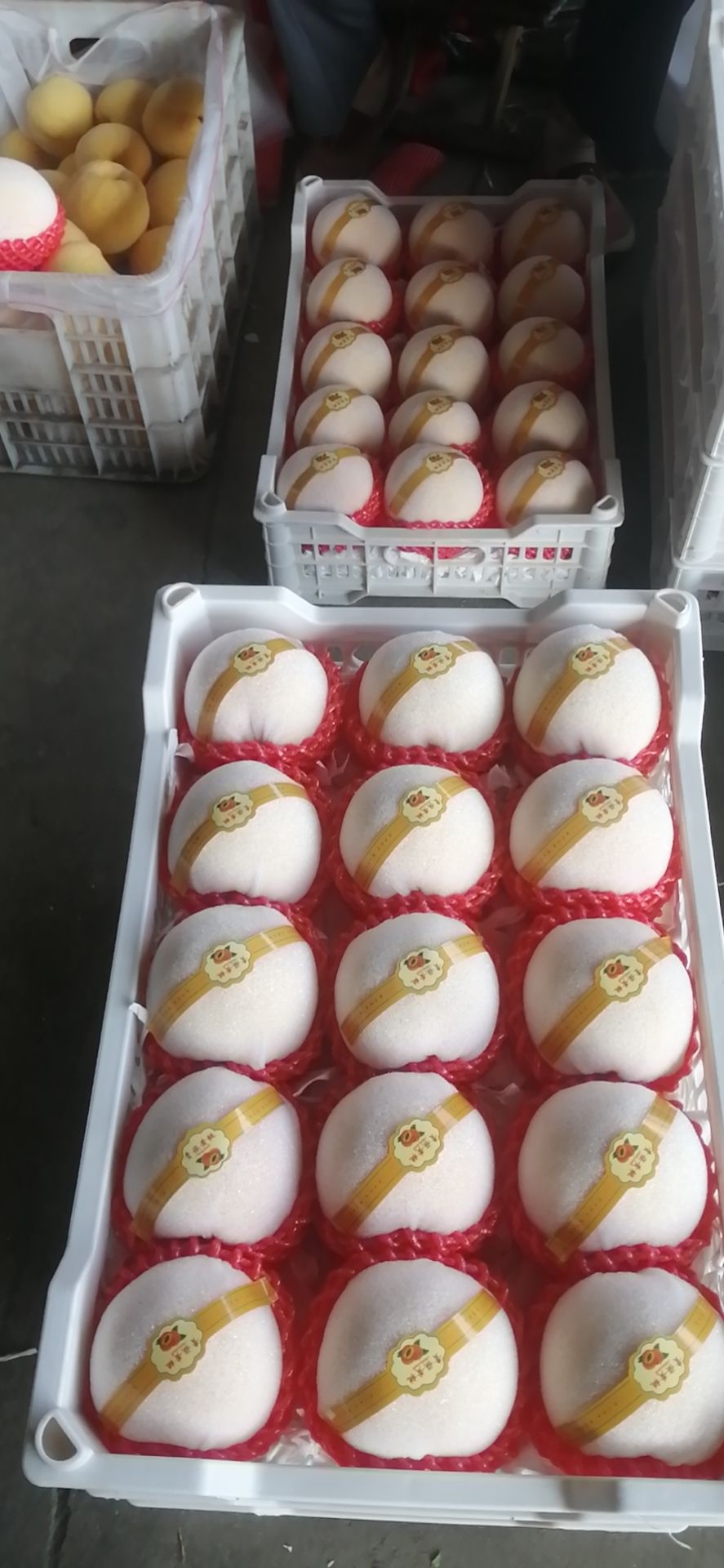 黄金蜜  沂蒙山大黄桃，金皇后，黄金脆