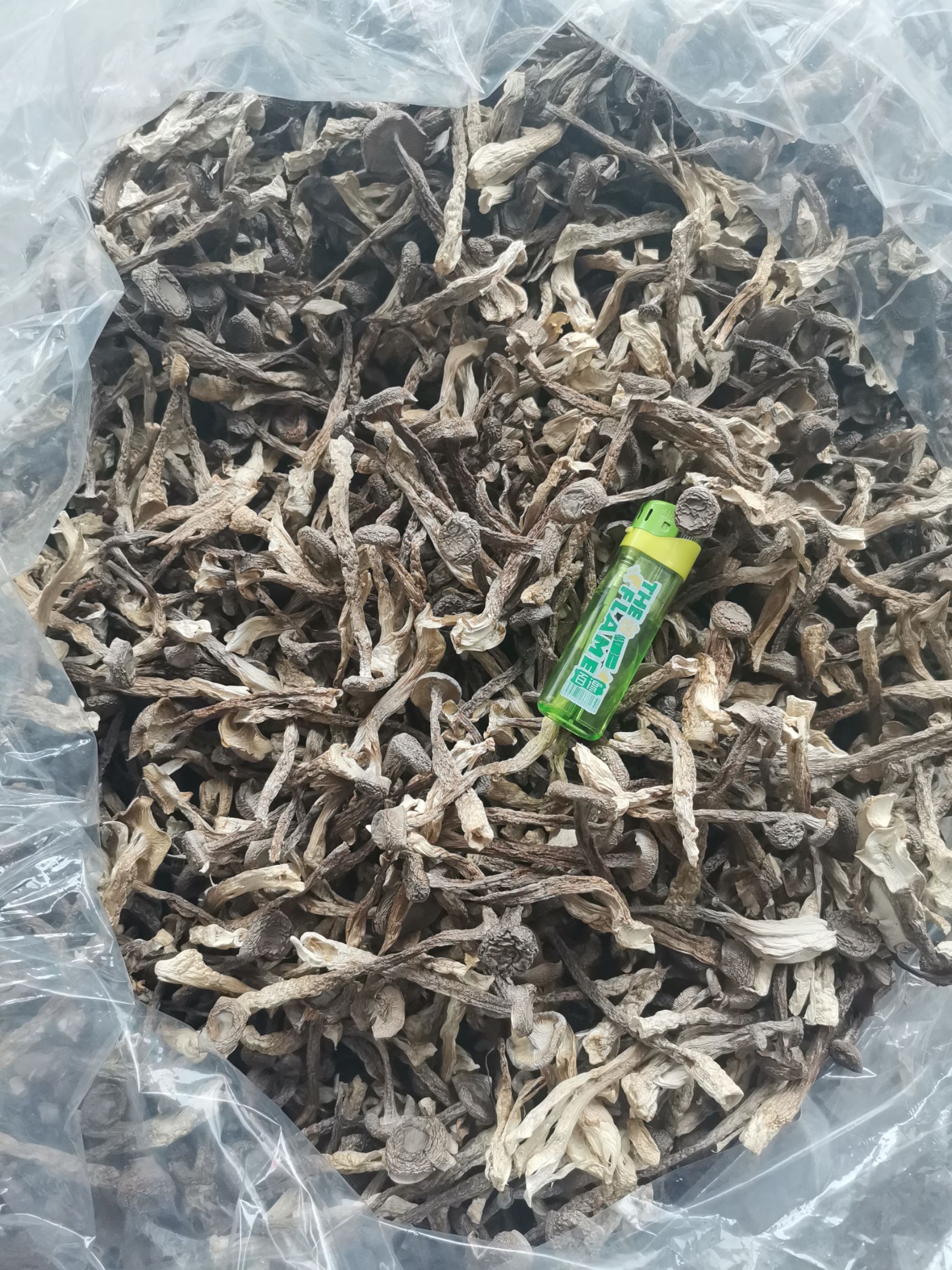 鹿茸菇，2020新货，一件代发，诚信经营量大从优