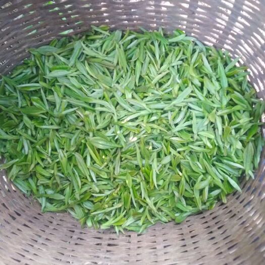 苏州 高山绿茶