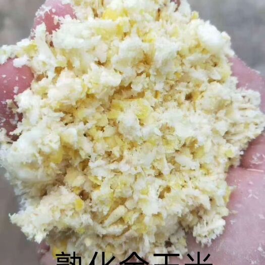 北京蛋白质饲料 熟化全玉米/蛋白5-6.水分38-40.