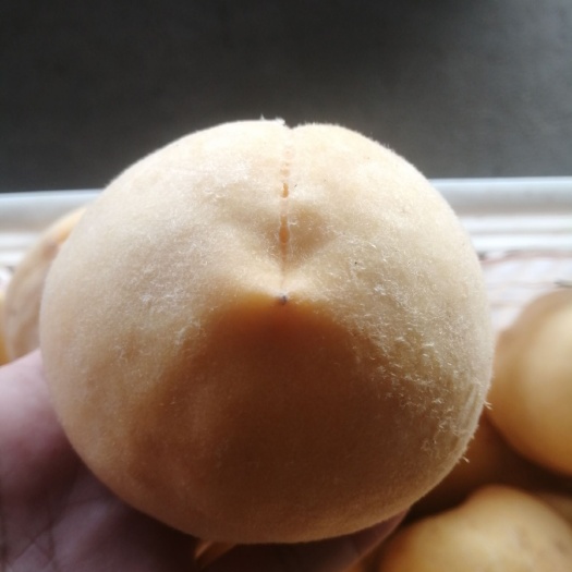 蒙阴县黄金蜜  沂蒙山大黄桃，金皇后，黄金脆