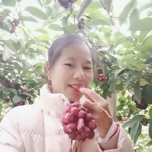 绥宁县深红  布福娜黑老虎鲜果高级水果特产果品