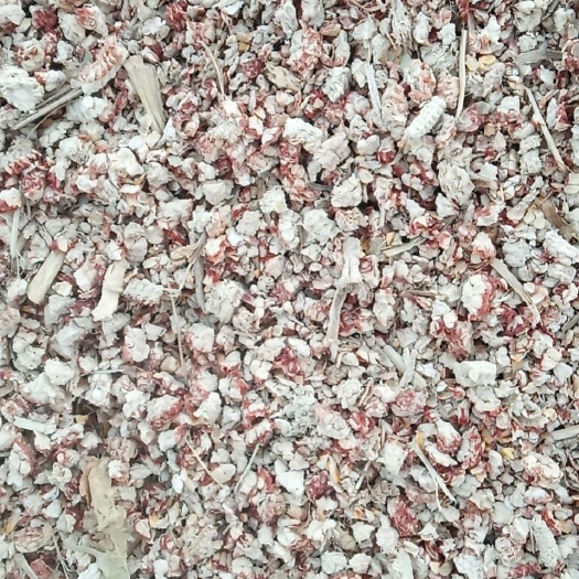 漯河收玉米过筛出来的碎玉米芯