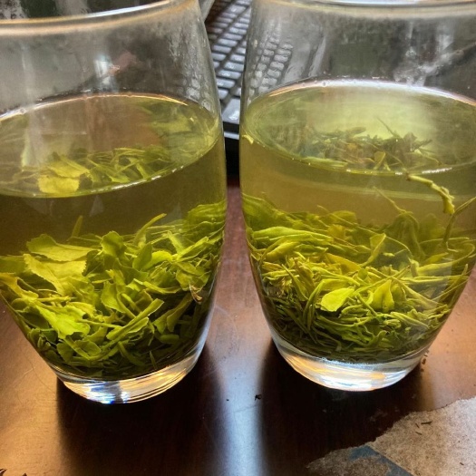 宜昌 高山绿茶