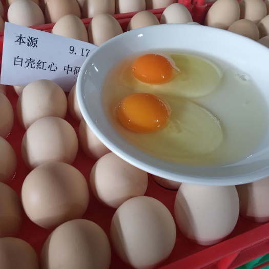 成都土鸡蛋 食用 散装 