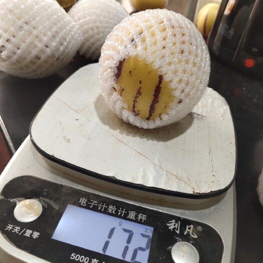 石林县圆果人参果 石林人叁果，产地直发，只做熟果，泡沫箱，胶框均可，机器分选